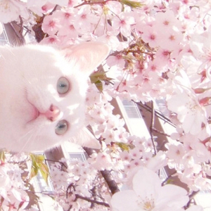 污视频免费软件
